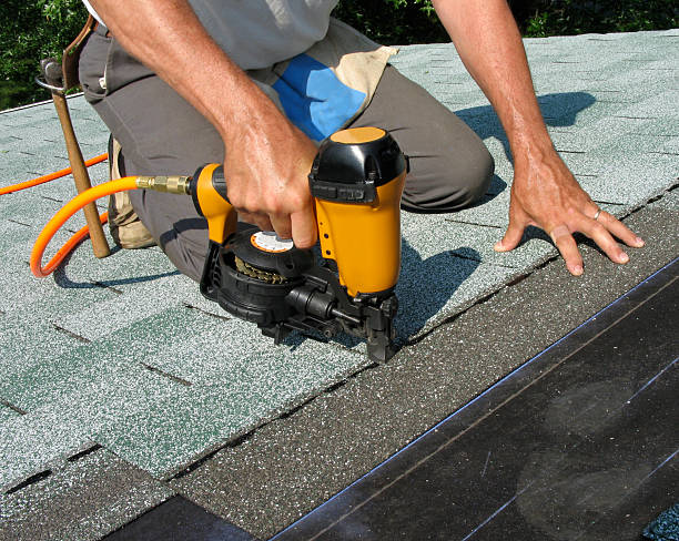 Best Roof Gutter Cleaning  in Portales, NM