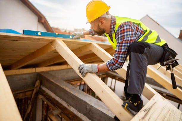 Roof Gutter Cleaning in Portales, NM